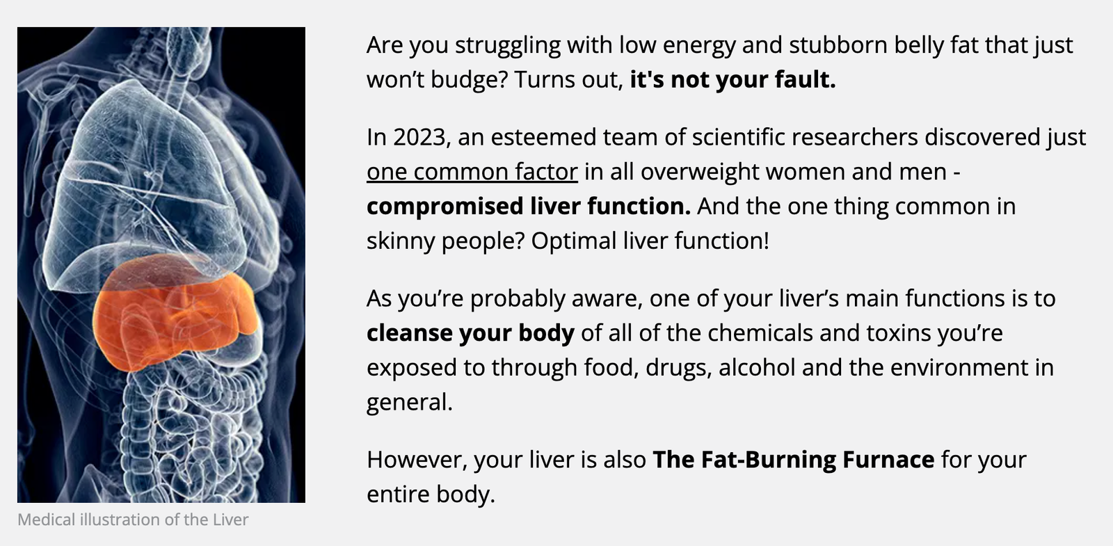 HepatoBurn-Scientists